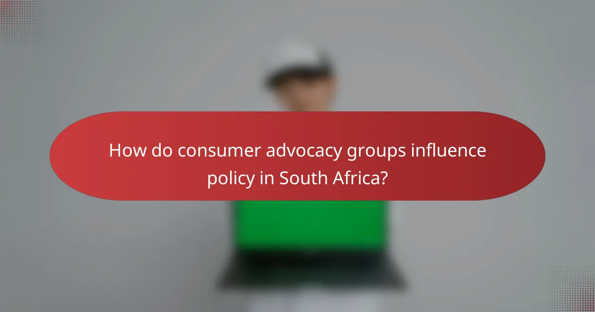 How do consumer advocacy groups influence policy in South Africa?
