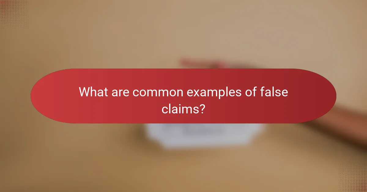 What are common examples of false claims?